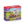 Image de Box de lavage pour Chevaux SCHLEICH