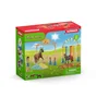 Image de Entraînement d'agility pour poney - Horse club - 42481 SCHLEICH