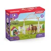 Image de Chevaux invités d'Hannah avec chienne Ruby - Horse club - 42458 SCHLEICH