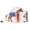 Image de Leo & Rocky - Sofia's Beauties : Horse club - 42586 SCHLEICH