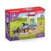 Image de Coffret Box pour cheval avec Jument et Poulain SCHLEICH