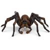 Image de Figurine Aragog SCHLEICH