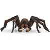 Image de Figurine Aragog Harry Potter pour enfants dès 6 ans Schleich 13987 Harry Potter Univers WIZARDING WORLD