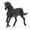 Image de Schleich Horse Club 13981 Figurine Pour Enfant