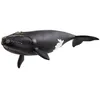 Image de Figurine baleine de latlantique Schleich 14878 Wild Life dès 5 ans