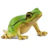 Image de Figurine Schleich Wild Life Rainette Europeenne 14882