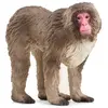 Image de Figurine Macaque Japonais L3 x l6 x h5 cm SCHLEICH