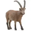 Image de Schleich Wild Life 14873 Figurine Pour Enfant