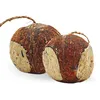 Image de 3 x 4 pièces. Noix de coco remplie de trous Lyra Pet®