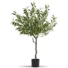 Image de Plante artificielle - TECTAKE - Olivier artificiel OLEAND à laspect naturel volumineux et entretien facile hauteur 120 cm - Vert
