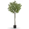 Image de Plante artificielle - TECTAKE - Olivier artificiel OLEAND à laspect naturel volumineux et entretien facile hauteur 150 cm - Vert