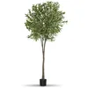 Image de Olivier Artificiel À L'aspect Naturel Très Volumineux Hauteur 210cm