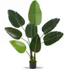 Image de Arbre Oiseau Du Paradis Avec Feuilles Peva Écologiques 120cm