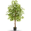 Image de Ficus Artificiel À L'aspect Naturel Avec Beaucoup De Volume 160cm