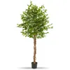 Image de Ficus Artificiel À L'aspect Naturel Avec Beaucoup De Volume 180cm