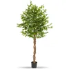 Image de Plante artificielle - TECTAKE - Ficus artificiel FIDA à laspect naturel avec beaucoup de volume entretien facile - Hauteur 180 cm