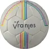Image de Ballon Erima Vranjes Gris 7202311