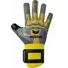 Image de Gants de gardien Erima Flex-Ray Hardground Gris 7222404