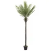 Image de ML-Design Palmier artificiel 210cm Plante artificielle grande Fake Plant Deko Arbre en plastique en pot pour lintérieur/extérieur