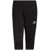 Image de Corsaire adidas Entrada 22 3/4 noir pur - S