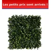 Image de Décoration Murale En Plantes Artificielles Gardenia 50 X 50 Cm
