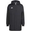 Image de Veste Adidas Sport Ent22 Stadjkt