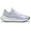 Image de Chaussures de running femme Reebok Floatride Energy Symmetros 2 Blanc HR1769