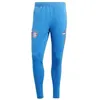 Image de Pantalon dentraînement Bayern Munich Condivo