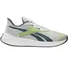 Image de Baskets Reebok Floatride Energy Symmetros 2.5 Gris 42 100033391