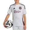 Image de Maillot Third - Adidas - Ajax Amsterdam - Enfants - Saison 2024/2025 - Gris