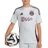 Image de Amsterdam Maillot de football Gris Garçon Adidas 24/25