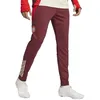 Image de Pantalon dentraînement de football Bordeaux homme Adidas FC Bayern Tiro 24