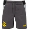 Image de Dortmund Short foot Gris Homme Puma 2023/2024