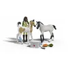 Image de Schleich Horse Club Sarah Trousse De Secours Pour Chevaux Set Avec 2 Poulains Figurines