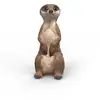 Image de Suricate