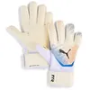 Image de Gants de gardien Puma Future Match NC