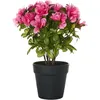 Image de Plante Artificielle Novella 36 Cm Rose