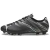 Image de Chaussures de football Puma Attacanto FG/AG - black/silver