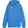 Image de Sweatshirt à capuche Puma B23601