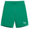 Image de Short enfant Puma Teamgoal
