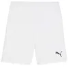 Image de Short Puma Team Goal