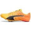 Image de Chaussures dathlétisme Puma Teamwear evoSPEED Future 6
