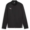 Image de Veste de survêtement enfant Puma TeamGoal - black