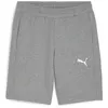 Image de Short Puma TeamGoal - gray