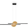 Image de Suspension skyline