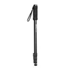 Image de Walimex Wt-1003 Monopied Basic, 171cm