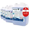 Image de BAYZID Produit dHivernage pour Piscine (6 x 3 l)- Effet Détartrant Algicide et Anti-Moisissures