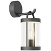 Image de Applique extérieure - Lucande - lampe murale extérieure - Verre - gris foncé transparent