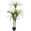 Image de Plante Artificielle Dracaena Anita 147 Cm Vert