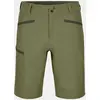 Image de Short Ortovox Pelmo vert sauvage - XL
